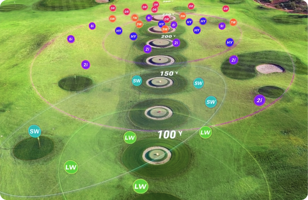 Data Visualization & Immersion