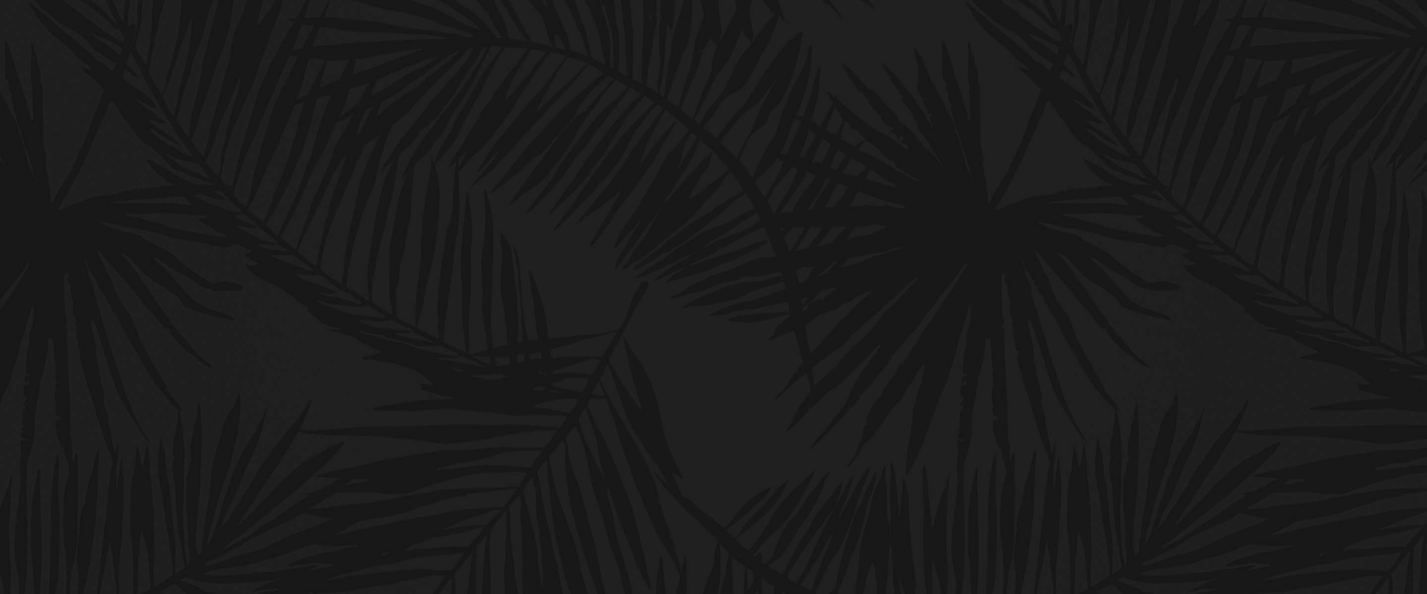 play maker plus logo