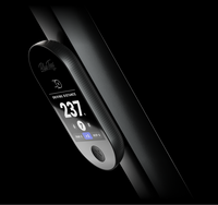 RINGER GPS HANDHELD